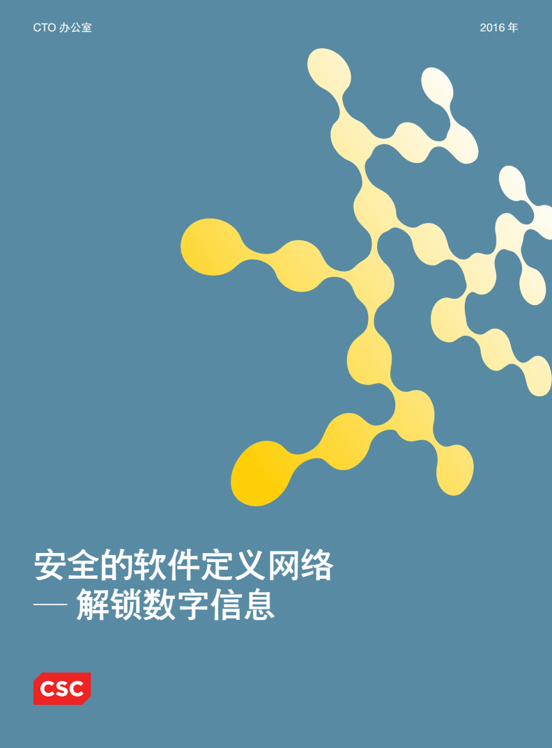 安全的软件定义网络-解锁数字信息-CSC