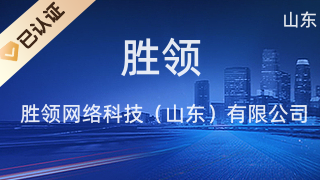 胜领网络科技